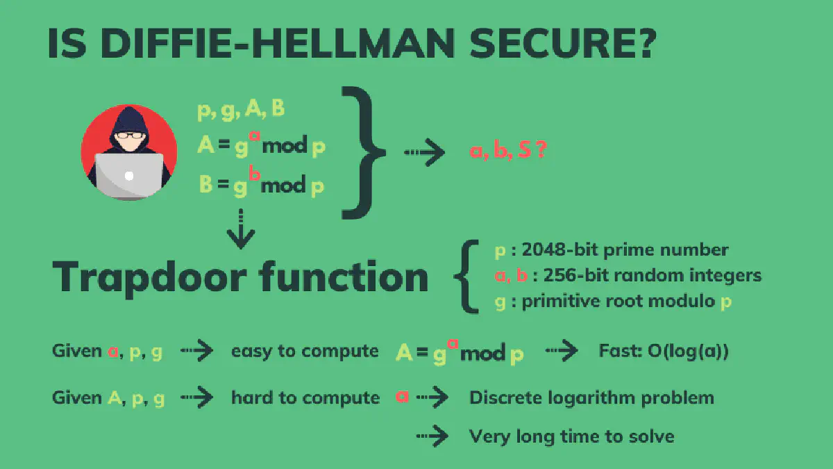 Alt Text