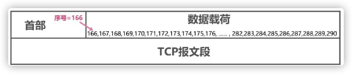 TCP 序列号