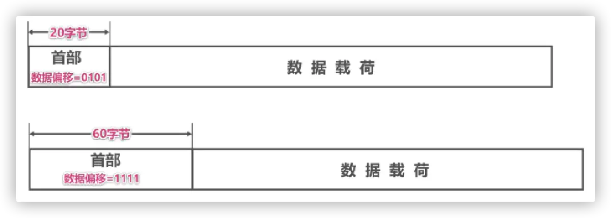数据偏移字段解释
